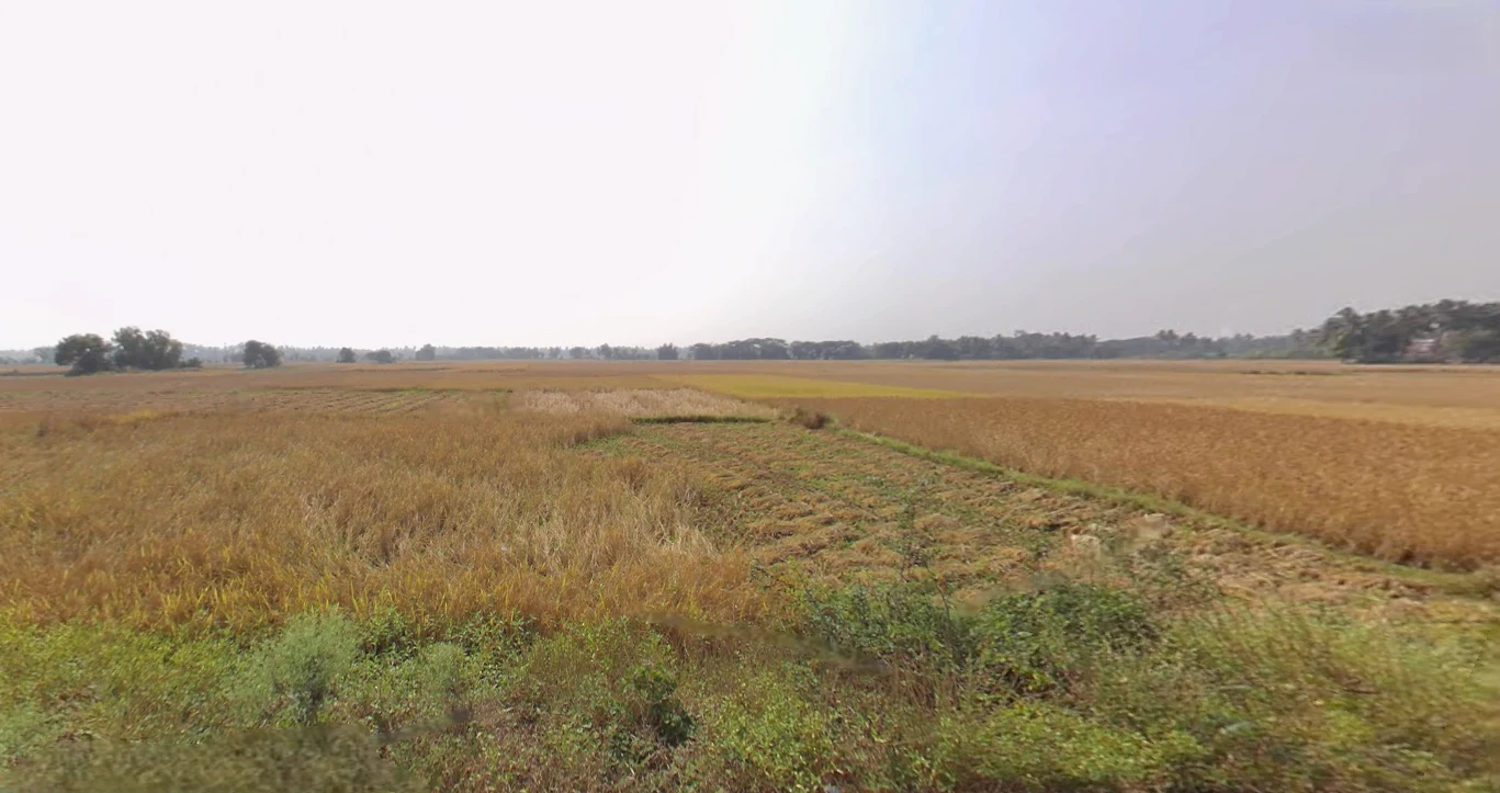 Sakhigopal, Odisha 752014, India