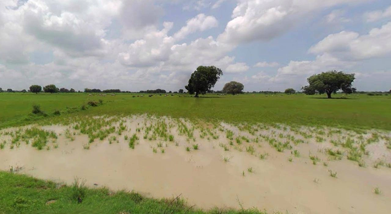Haridwar, Uttarakhand, India
