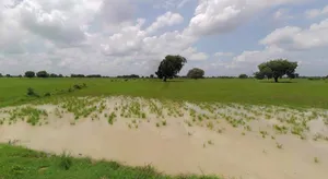 Haridwar, Uttarakhand, India preview 2