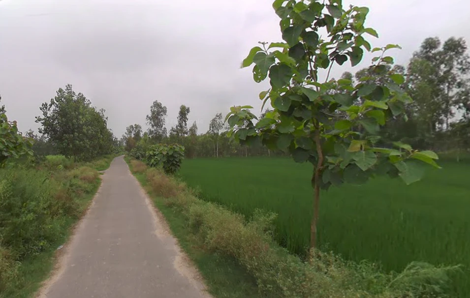 Shahabad, Uttar Pradesh 244922, India