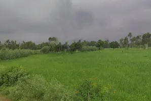 8H8V+QCC, Faizabad, Uttar Pradesh 247121, India preview 2