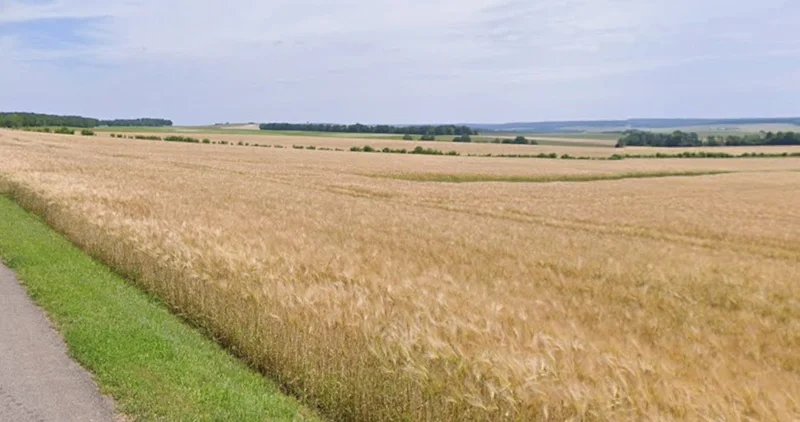 Bamhori, Madhya Pradesh 464551, India preview 3