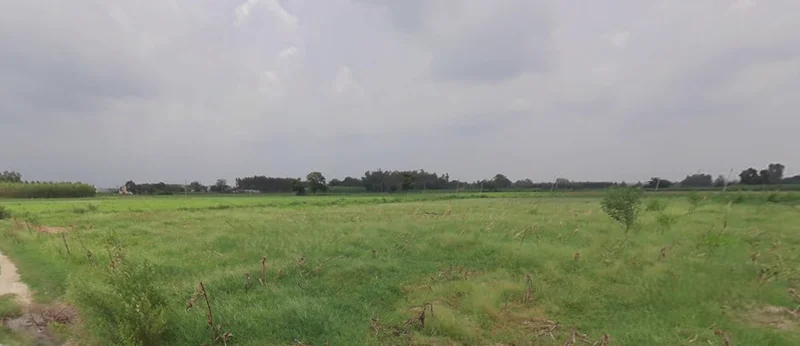 Mansa, Punjab 151505, India preview 2