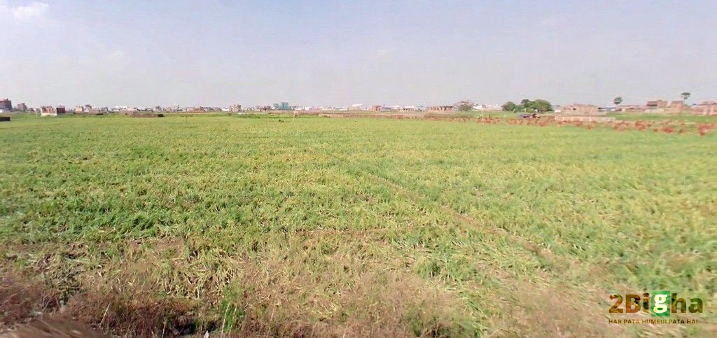 March Marchi Rd, Paijawa, Patna, Bihar 800009, India