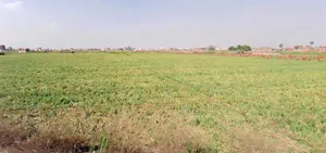 March Marchi Rd, Paijawa, Patna, Bihar 800009, India preview 4