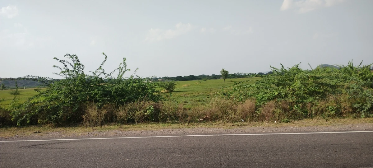 Rasiya, Rajasthan 321205, India