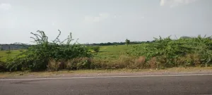 Rasiya, Rajasthan 321205, India preview 3