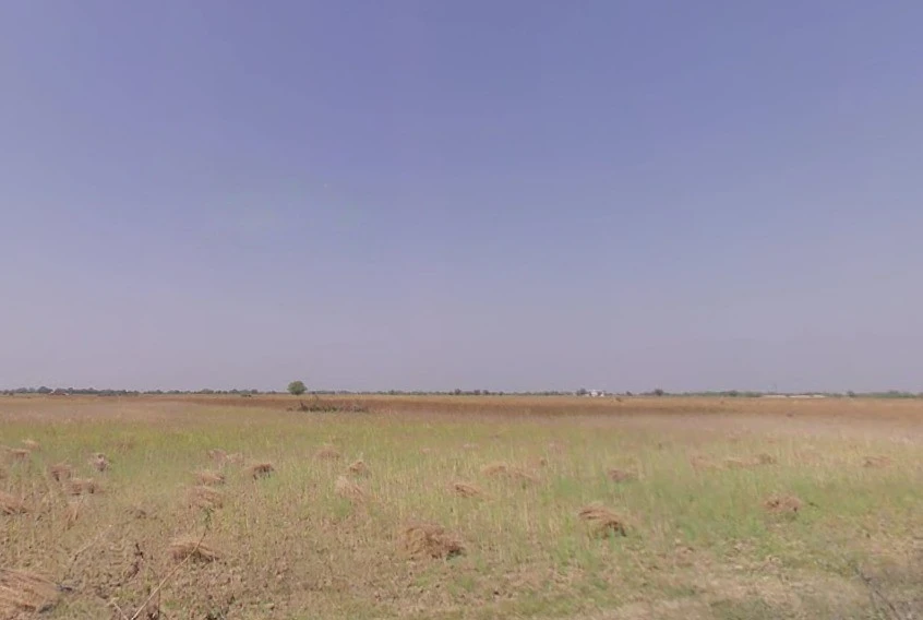 Chaksu, Rajasthan 303901, India