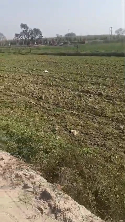 PJJ8+R4J, Afrashah Pur, Uttar Pradesh 245304, India