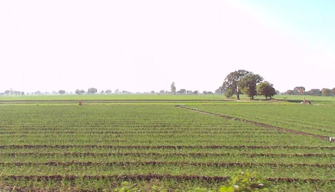 Nichroli, Madhya Pradesh 475661, India preview 3