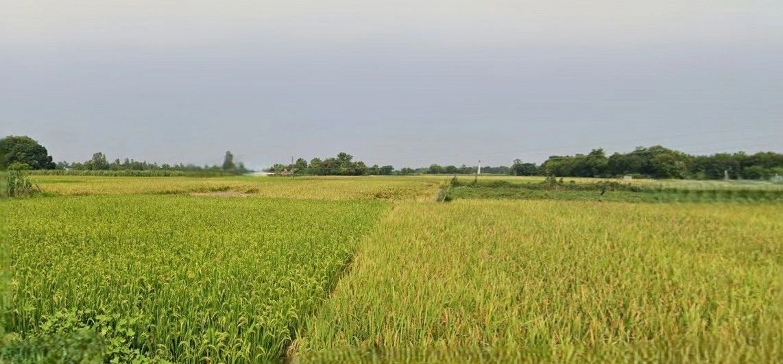 Dadri, Uttar Pradesh, India preview 2