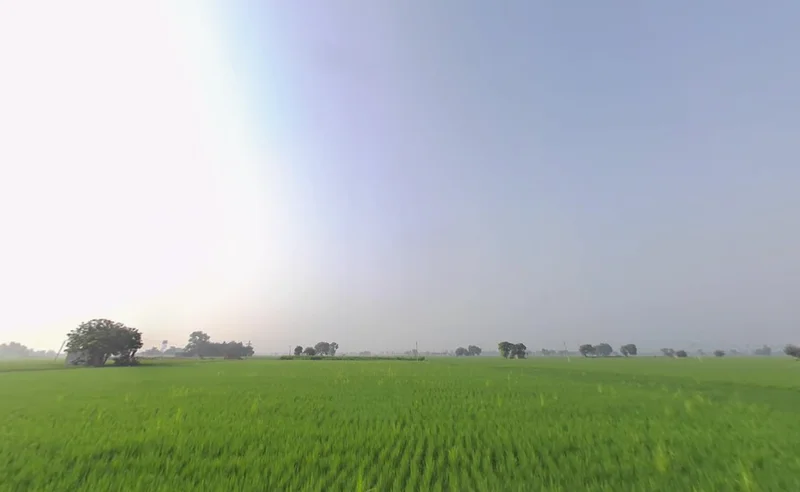 Rama, Punjab 142039, India preview 3