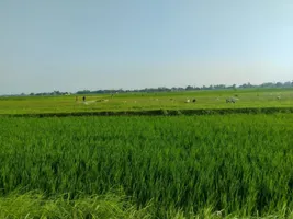 Puranpur, Uttar Pradesh 262122, India preview 2