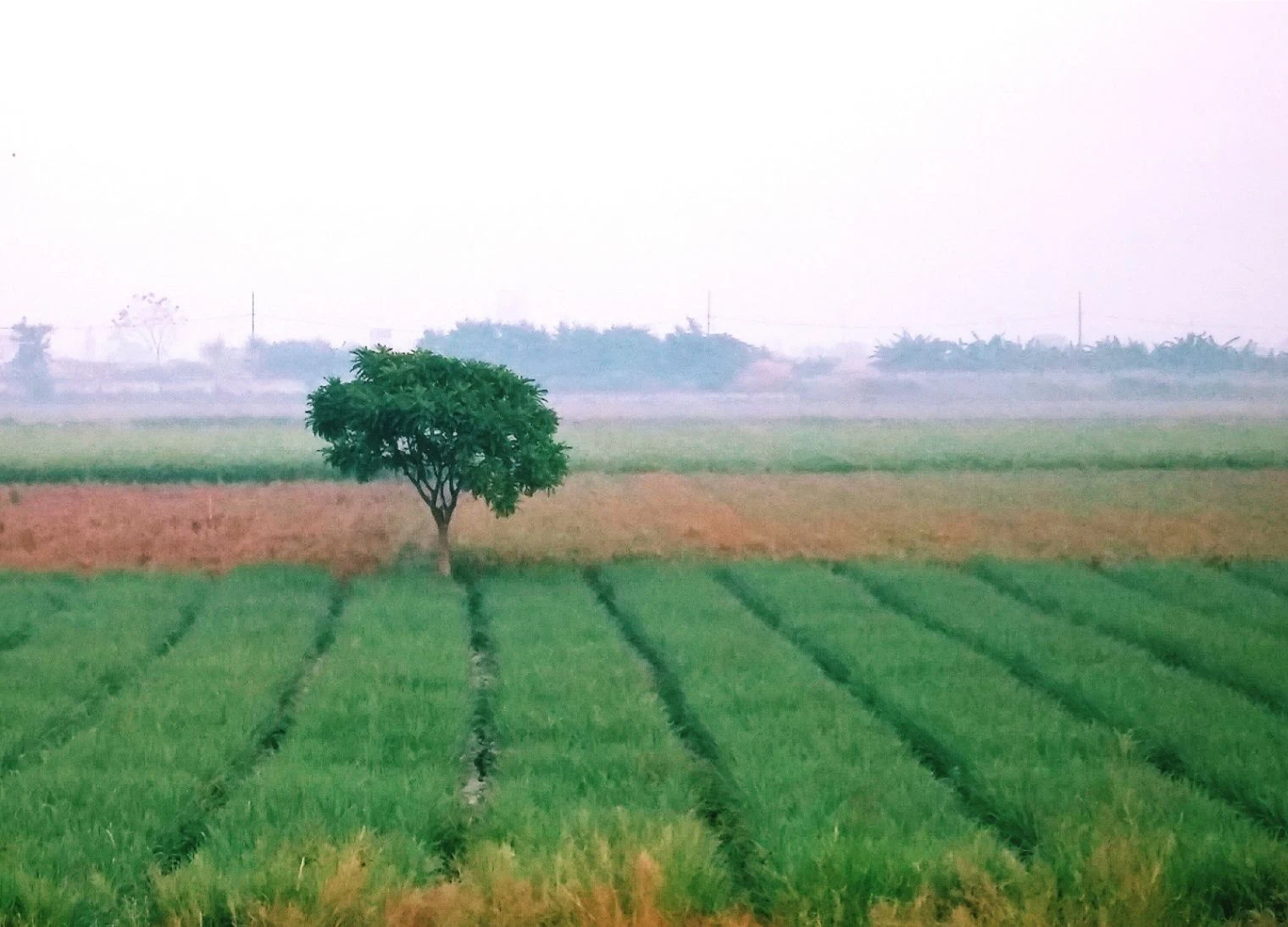 Palia Kalan, Uttar Pradesh 262902, India