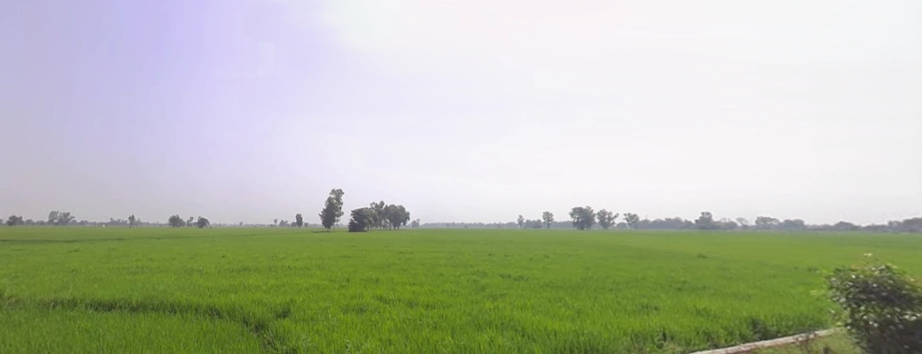 Banga, Punjab 144505, India preview 3