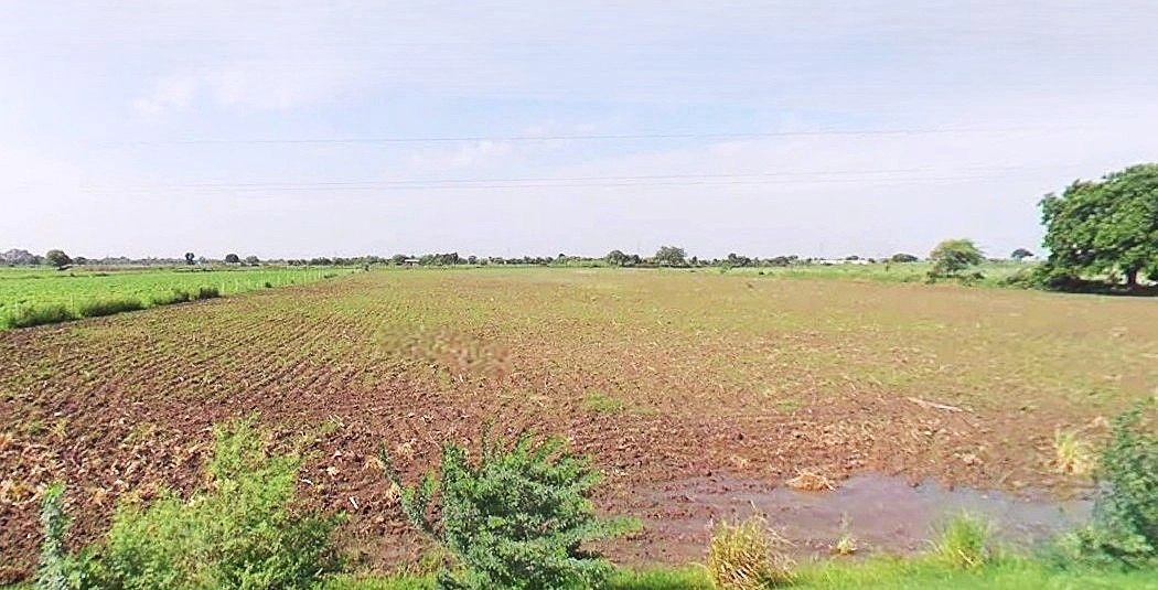 7FRQ+XR3, Bhindaulia, Uttar Pradesh 243123, India