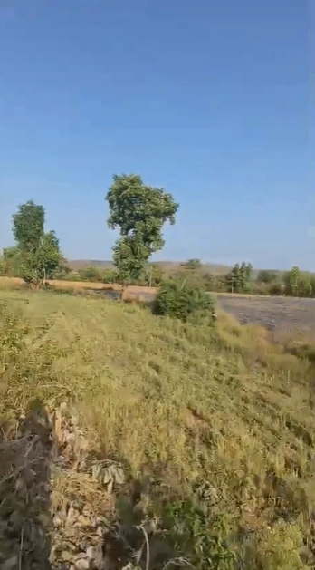 5PR5+HWG, Ujjain, Ratadiya, Madhya Pradesh 456006, India