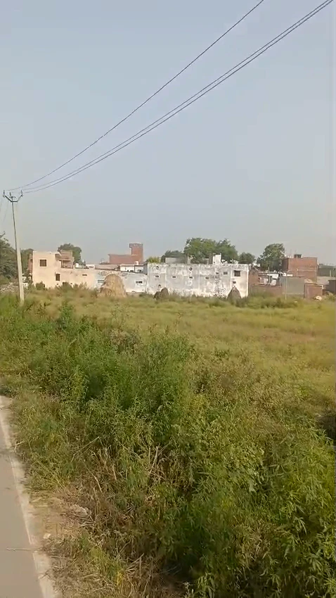 QPH6+6V5, Sarawa, Uttar Pradesh 245206, India