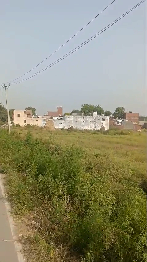 QPH6+6V5, Sarawa, Uttar Pradesh 245206, India