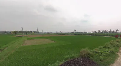 Khutar, Uttar Pradesh 242405, India preview 2