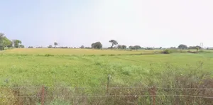 Dindori, Madhya Pradesh 481880, India preview 3