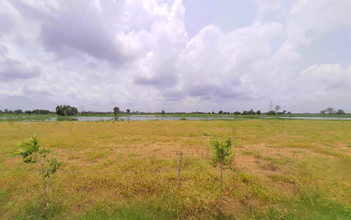 Baniyani, Haryana 124411, India