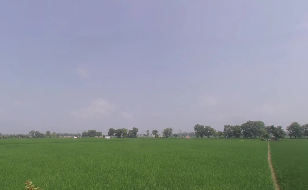 Pehowa, Haryana 136128, India preview 3