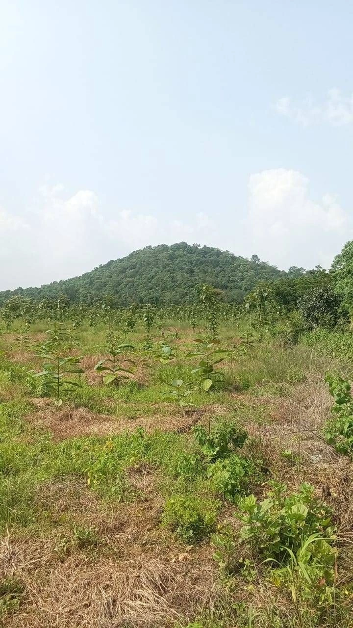 Ramtek, Maharashtra 441106, India