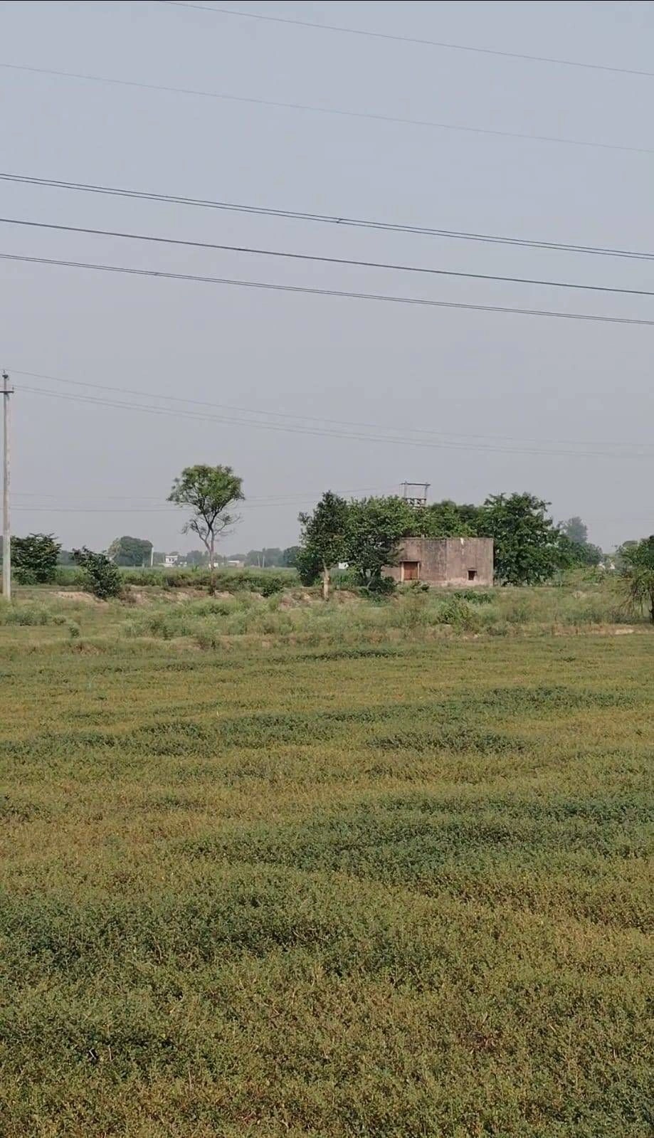 Aurangabad, Palwal, Haryana 121105, India