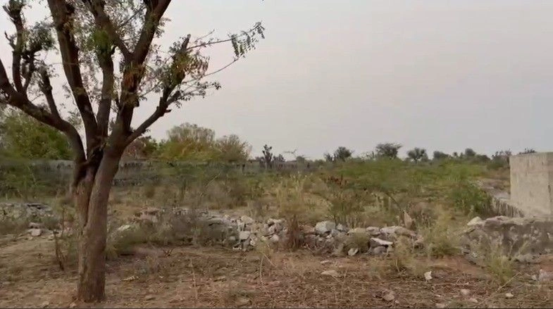 Udaipur Highway, Hemawas, Circle, Pali, Mandli Khurd, Rajasthan 306401, India preview 3