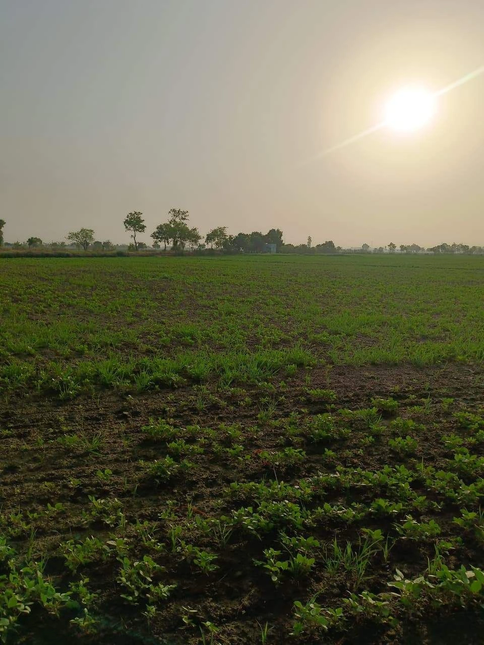 Tentigaon, Uttar Pradesh, India