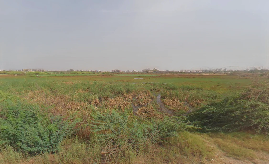 Sector 104, Gurugram, Haryana 122006, India