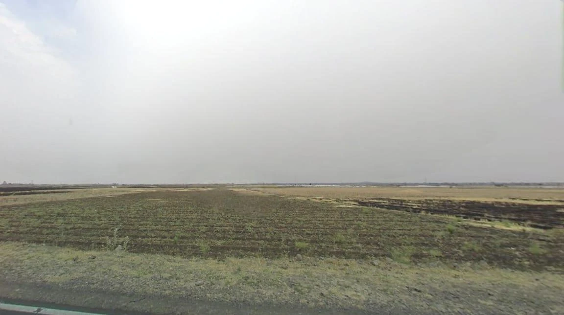 FFFW+P2G, Borkheda Pitramal, Madhya Pradesh 456335, India