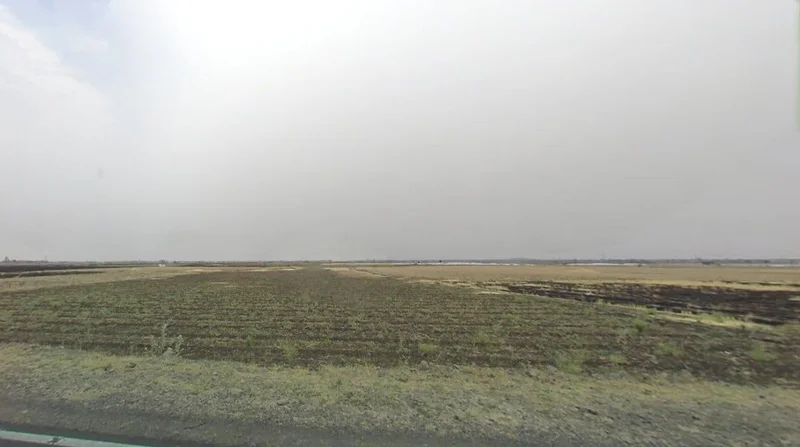 FFFW+P2G, Borkheda Pitramal, Madhya Pradesh 456335, India preview 3