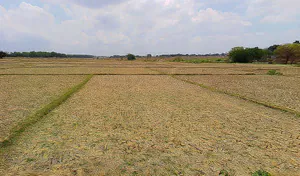 Tumbaguttu, Jharkhand 834010, India preview 3