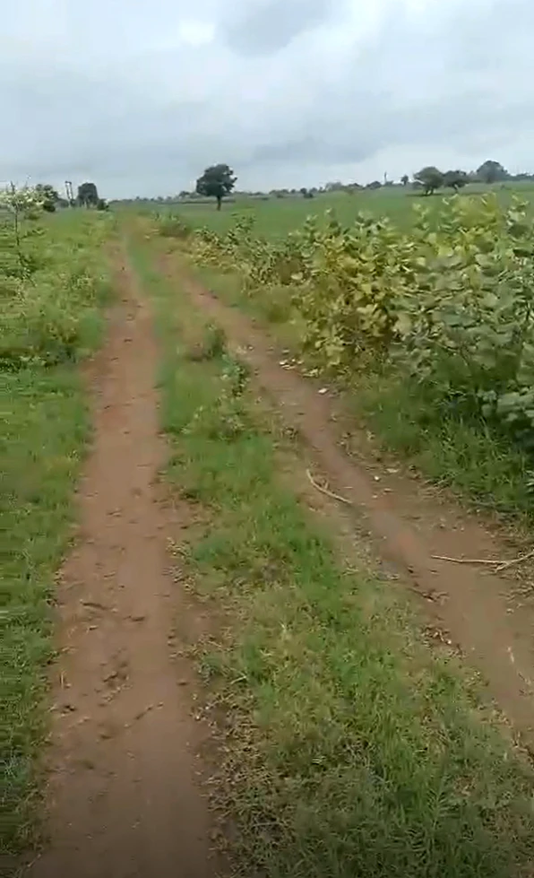 Khajuria, Sagar, Madhya Pradesh, India