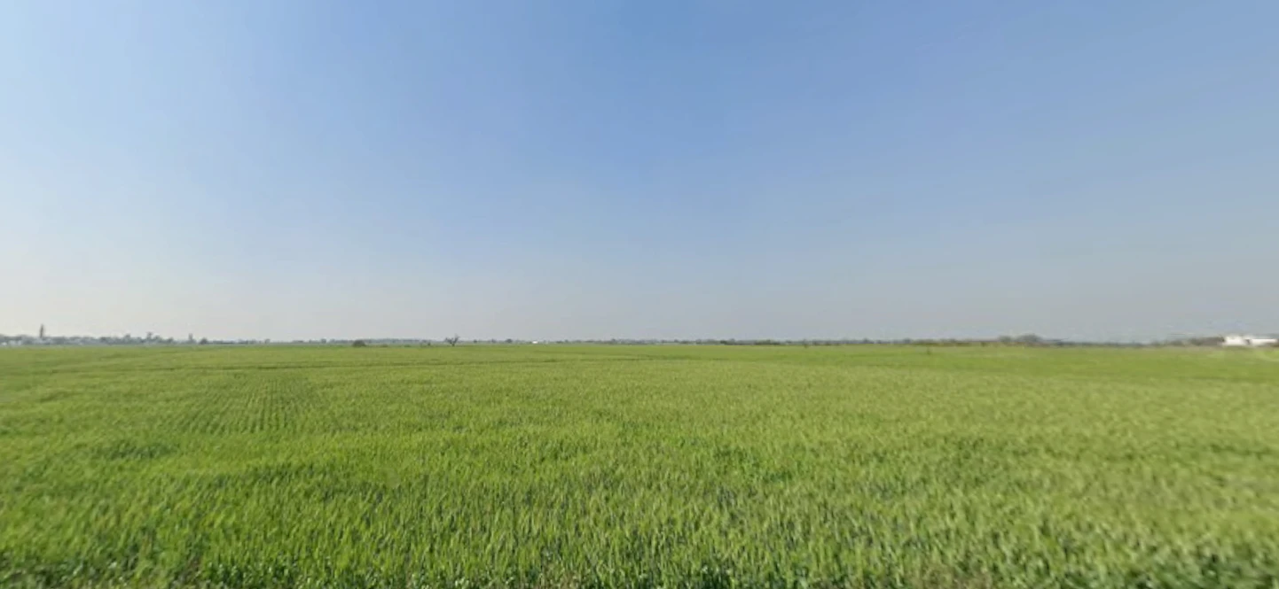 Rojda, Rajasthan 302012, India