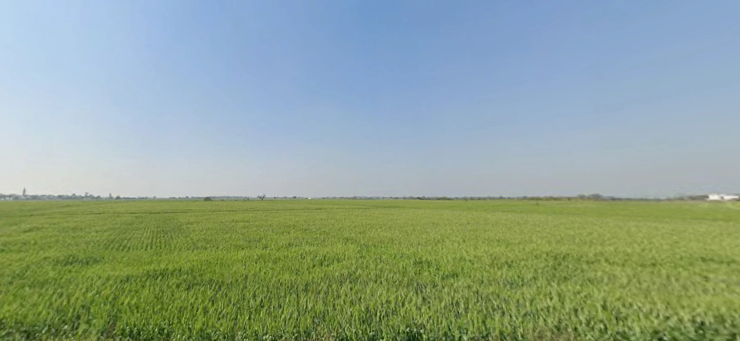 Rojda, Rajasthan 302012, India