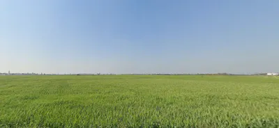 Rojda, Rajasthan 302012, India preview 3