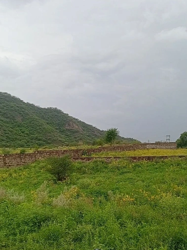 Neemrana, Rajasthan - Photo 3