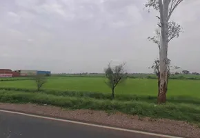 Semli, Rajasthan, India preview 3