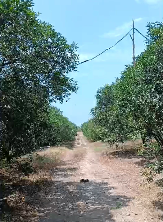 Diyal, Kangra, Himachal Pradesh 177104, India