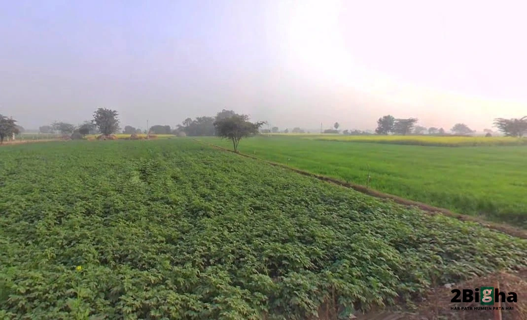 Khatauli, Uttar Pradesh 251201, India