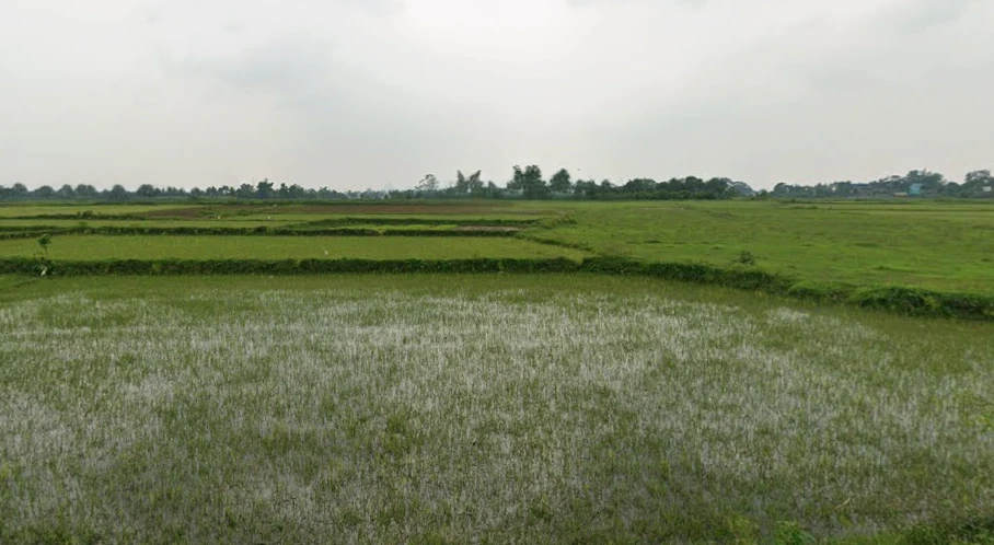 Kashipur, West Bengal 723132, India