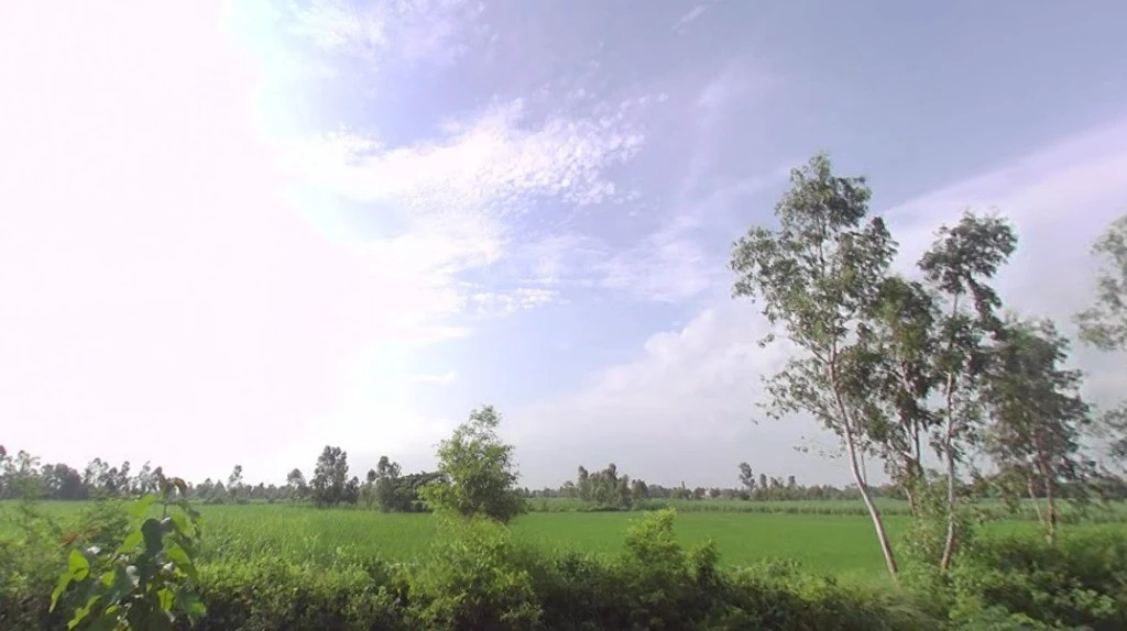 Dalpatpur, Uttar Pradesh 244104, India