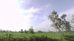 Dalpatpur, Uttar Pradesh 244104, India preview 3