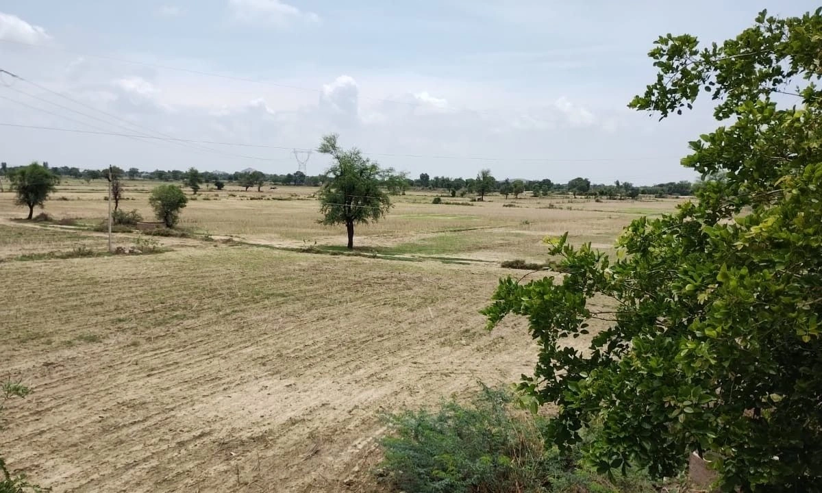 Tatarpur, Rajasthan, India
