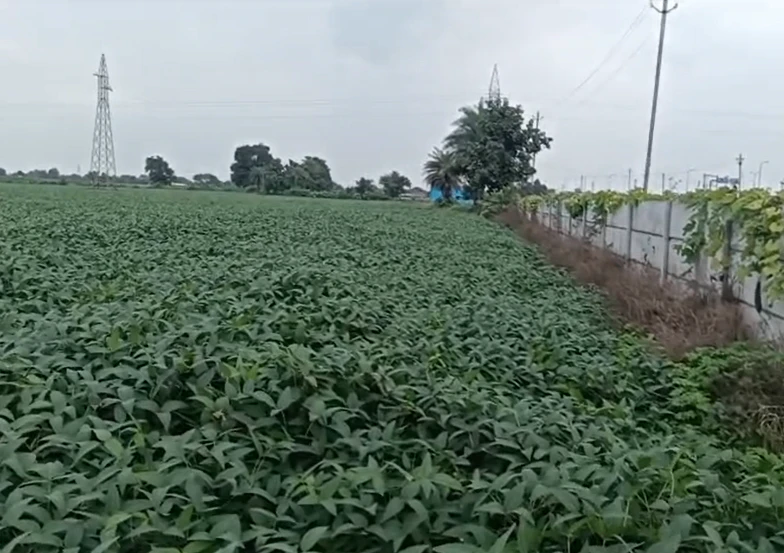 Nayapura, Ratlam, Madhya Pradesh 457226, India