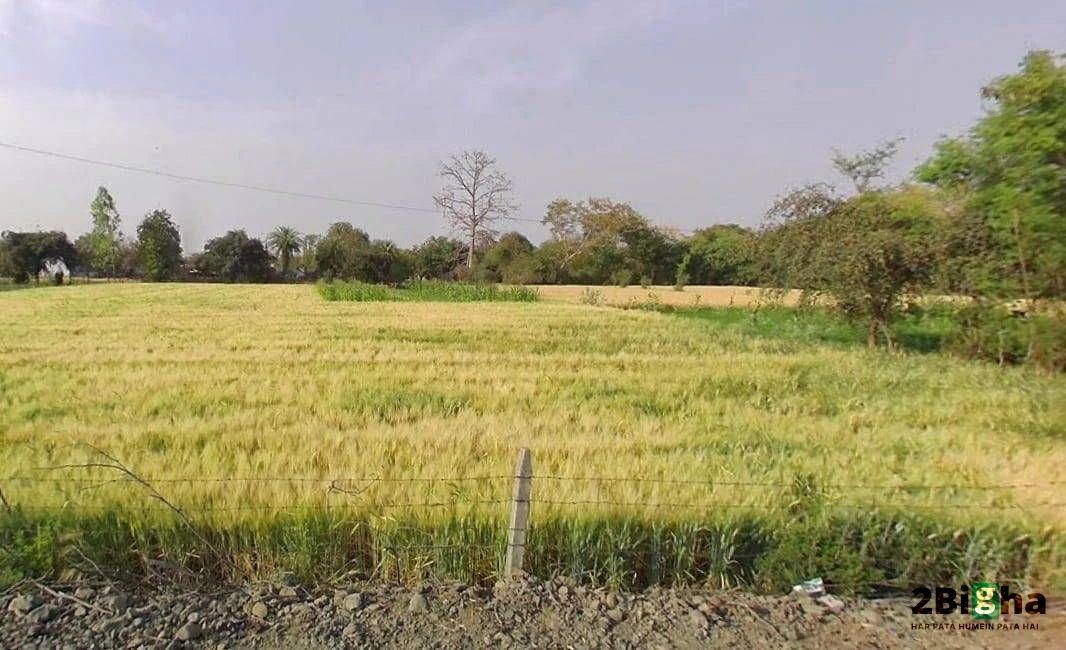 Nimera, Rajasthan, India
