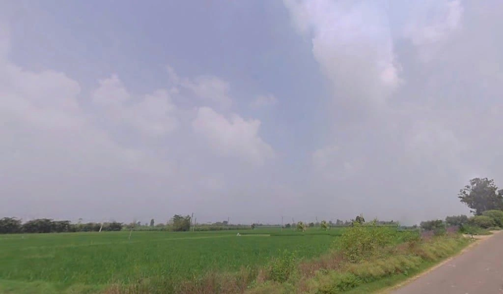 Shahzadpur, Haryana 134202, India preview 2